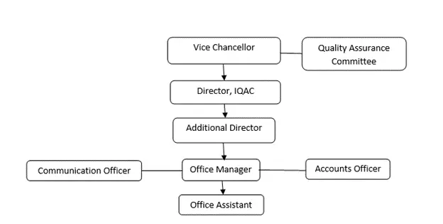 IQAC Organogram